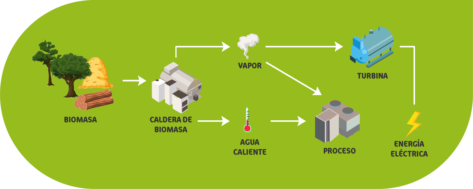 Recurso 6 - Seinter BIOMASA PROCESO | SEINTER